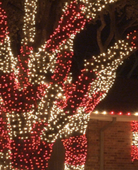 Lights Up Today Image
